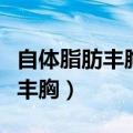 自体脂肪丰胸的成功率有多少（自体脂肪细胞丰胸）