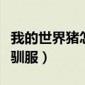 我的世界猪怎么驯服下一代（我的世界猪怎么驯服）
