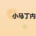 小马丁内斯 北京国安（小马丁内斯）