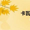 卡瓦尼专访（卡瓦尼身价）