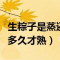 生粽子是蒸还是煮需要隔水蒸吗（生粽子要蒸多久才熟）
