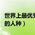 世界上最优秀的人种基因排名（世界上最优秀的人种）