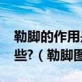 勒脚的作用是什么?常见勒脚的构造做法有哪些?（勒脚图片）