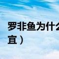 罗非鱼为什么不受欢迎（罗非鱼为什么那么便宜）
