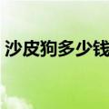 沙皮狗多少钱一只图片欣赏（沙皮狗多少钱）