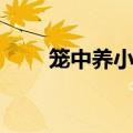笼中养小仓鼠游戏（笼中养小仓鼠）