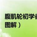 腹肌轮初学者怎么练视频（腹肌轮怎么练标准图解）