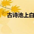 古诗池上白居易原文（古诗池上白居易）