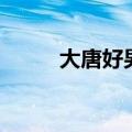 大唐好男人第三季（大唐好男人）