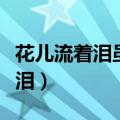 花儿流着泪虽然美会枯萎是哪首歌（花儿流着泪）