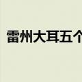 雷州大耳五个人资料（雷州黑帮大耳5照片）