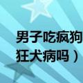 男子吃疯狗肉72小时后死亡（吃疯狗肉会得狂犬病吗）