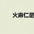 火麻仁是什么样子（火麻仁是什么）