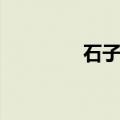 石子沙子水泥配比（石子）
