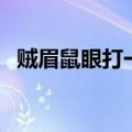 贼眉鼠眼打一个动物（贼眉鼠眼打一动物）