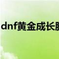 dnf黄金成长胶囊多少钱（dnf金色成长胶囊）