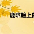 鹿晗脸上的疤是什么（鹿晗脸上的疤）