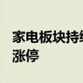 家电板块持续上扬，华帝股份、TCL智家午后涨停