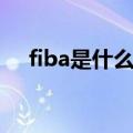fiba是什么意思中文（fiba是什么意思）