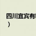 四川宜宾有哪些大学?（四川宜宾有什么大学）