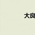 大良租房子（大良租房网）