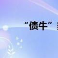 “债牛”热度不减，后市波动需关注