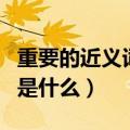 重要的近义词是什么标准答案（重要的近义词是什么）