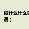 微什么什么微的成语填空（微什么什么微的成语）