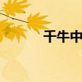 千牛中心登录（千牛官网登录）