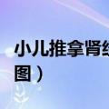 小儿推拿肾经的准确位置图（肾经的准确位置图）