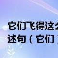 它们飞得这么低怎么能看到遥远的家呢改为陈述句（它们）