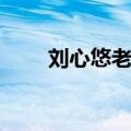 刘心悠老公是哪里人（刘心悠老公）