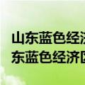 山东蓝色经济区上升为国家战略区的原因（山东蓝色经济区）