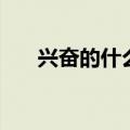 兴奋的什么填空题（兴奋的什么填空）