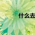 什么去狐臭最好（什么去狐臭）