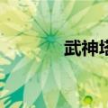 武神塔8层血量（武神塔8层）