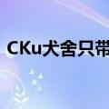 CKu犬舍只带出生证明是纯种吗（cku犬舍）