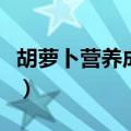 胡萝卜营养成分含量是多少（胡萝卜营养成分）