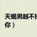 天蝎男越不搭理越主动（天蝎男越不理他越爱你）