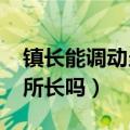 镇长能调动当地派出所吗?（镇长能调动派出所长吗）