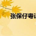 张保仔粤语版港剧网（张保仔粤语版）
