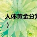 人体黄金分割比例是多少（人体黄金分割比例）