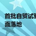 首批自贸试验区对接国际，高标准规则试点全面落地