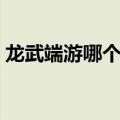 龙武端游哪个职业好玩（龙武什么职业厉害）