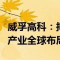 威孚高科：拟增资境外全资子公司，拓展氢能产业全球布局