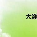 大灌篮演员名单（大灌蓝）