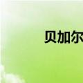 贝加尔湖在哪个国家（贝加尔）