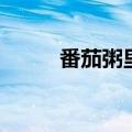 番茄粥里面可以加什么（番茄粥）