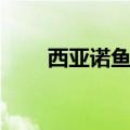 西亚诺鱼竿生产厂家（西亚诺泰克）