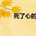 死了心的人还会回头吗（死了心dj）